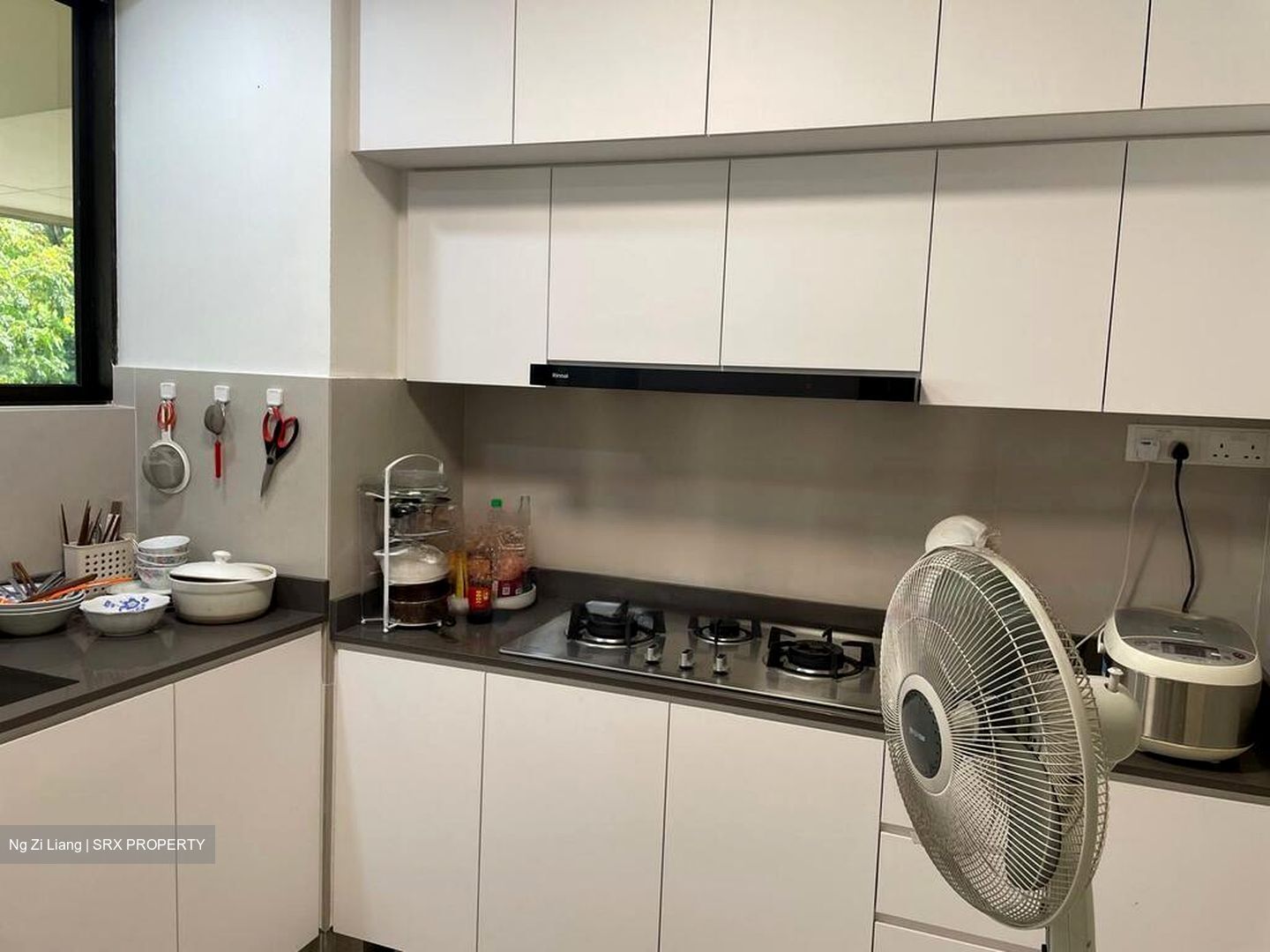 Pine Grove (D21), Condominium #621638621